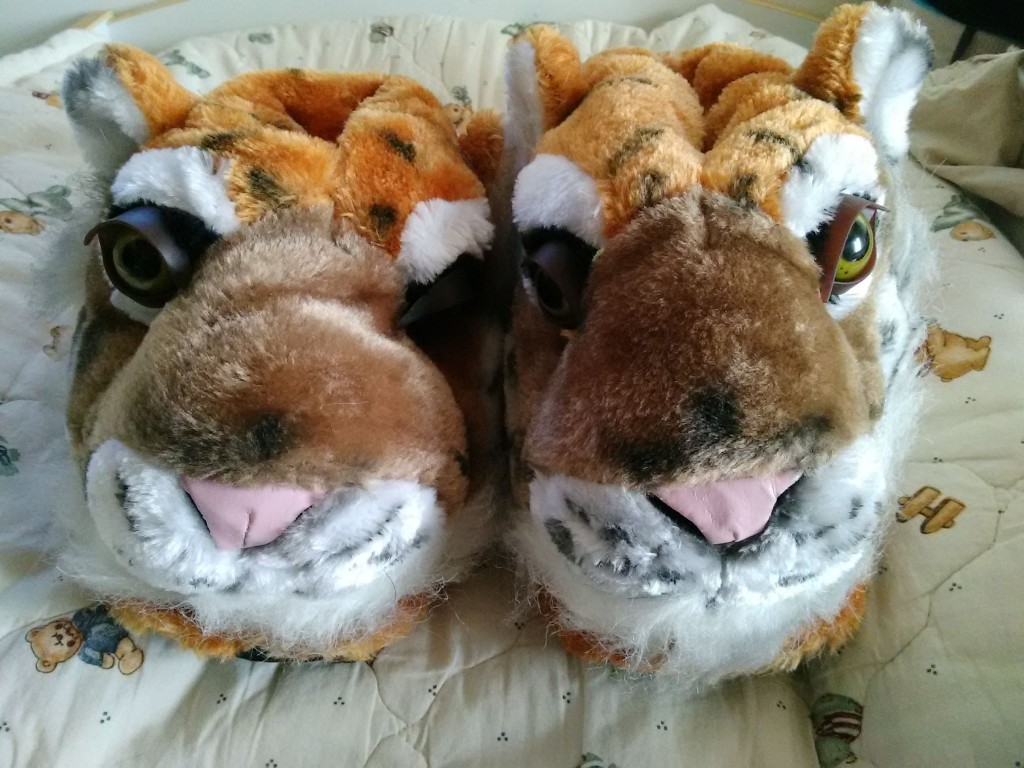 IMG_20151123_133524[1]